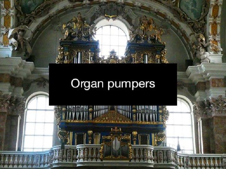 Odd Jobs organ pumper