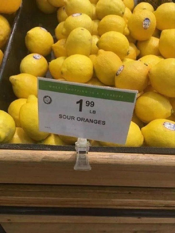Witty Signs lemon and oranges 