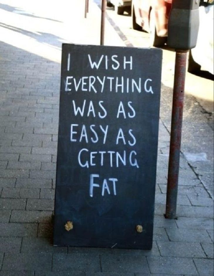 Witty Signs fat
