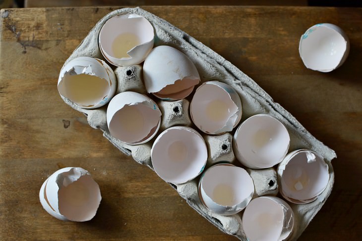 things not to dump into kitchen sink an egg carton full of eggshells