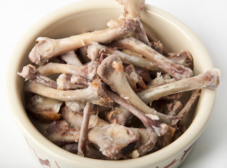 things not to dump into kitchen sink chicken bones