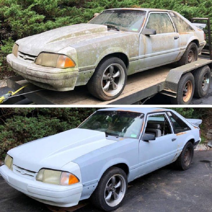 Before and After Cleaning Photo mustang