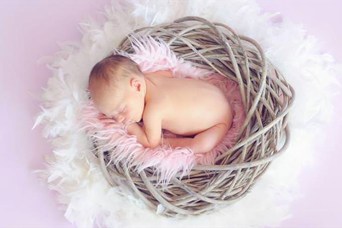 baby sleeping in a bird nest