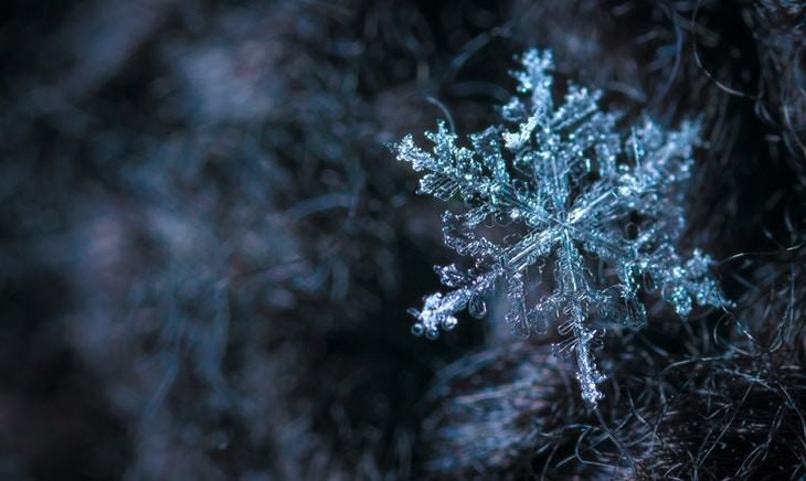 macro photos of nature snowflake