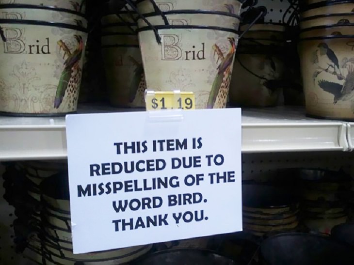 Funniest Spelling Mistakes bird