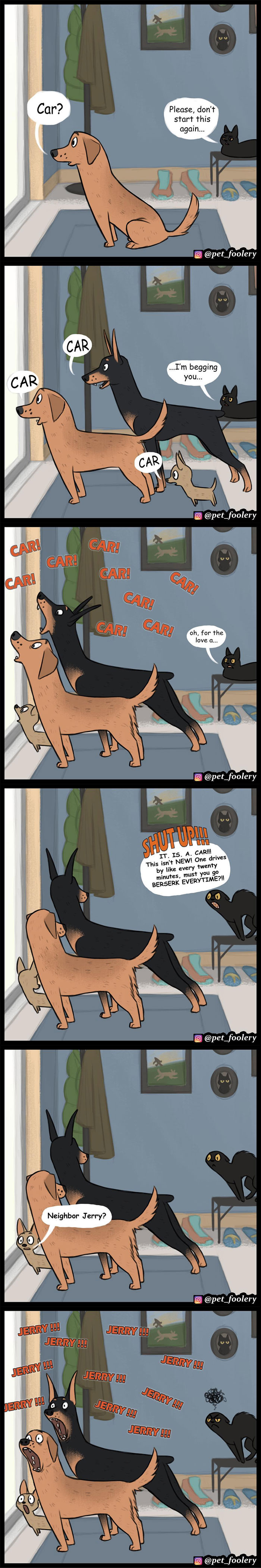 funny pet comics