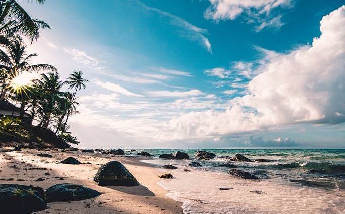 Beach with palm trees and little stones