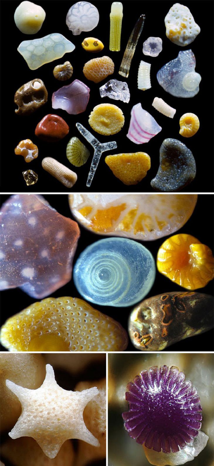 Rare Pictures grains of sand