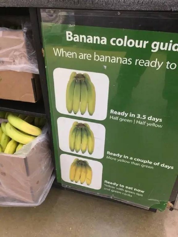 Grocery Stores, banana 