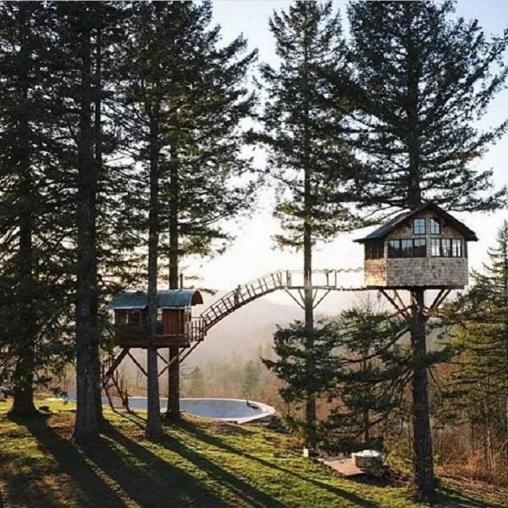  Tree Houses, relax