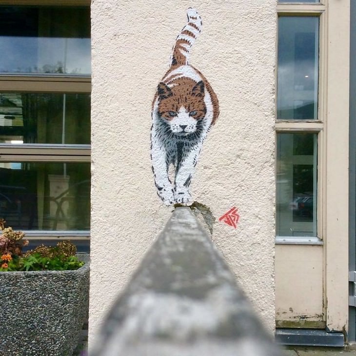 Clever and Captivating Street Art by JPS, cat