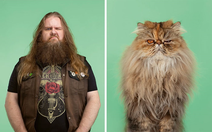Gerrard Gethings cats and owners Gunther And Albert (Exotic Longhair)