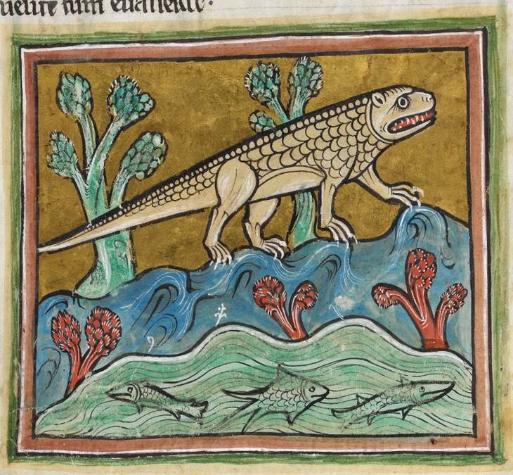 Hilarious Medieval Paintings of Animals, crocodile