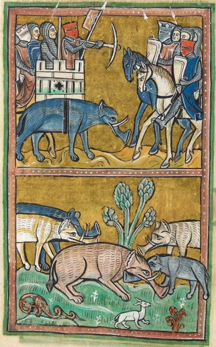 Hilarious Medieval Paintings of Animals, elephant