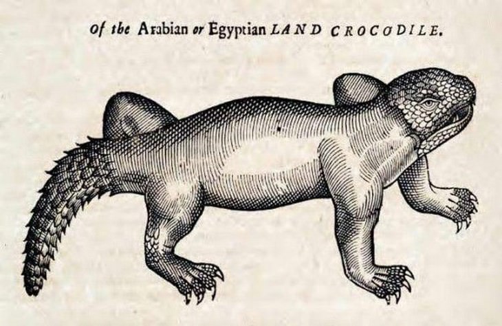 Hilarious Medieval Paintings of Animals, crocodile