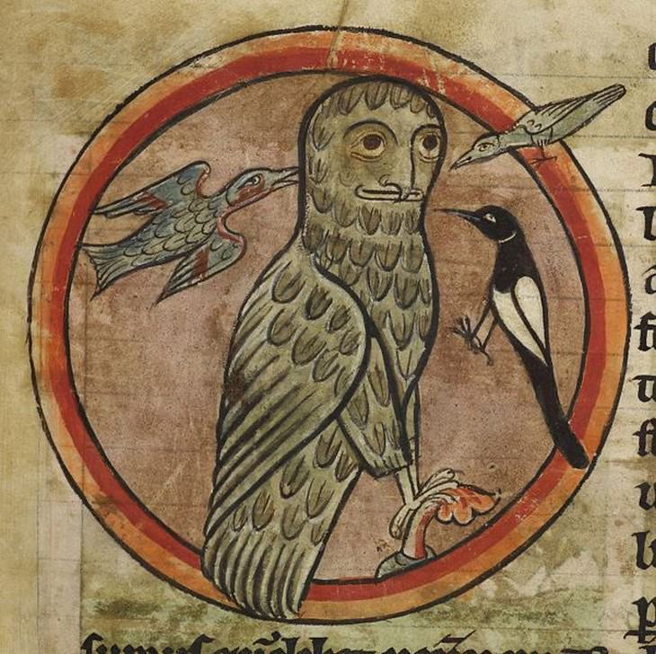Hilarious Medieval Paintings of Animals, owl