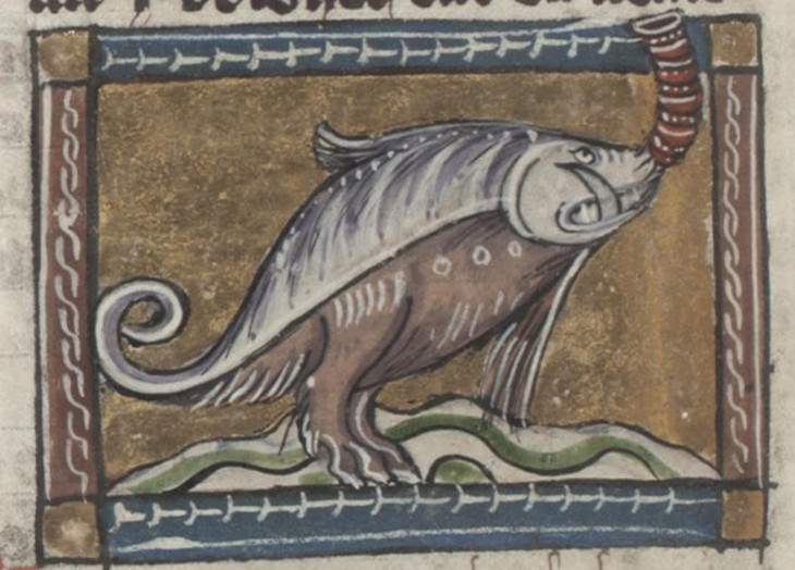 Hilarious Medieval Paintings of Animals, hippopotamus