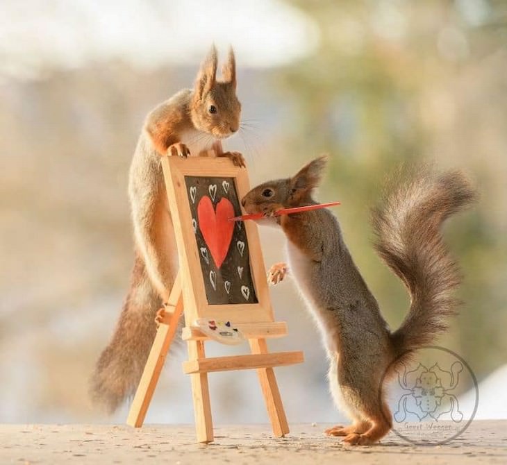 Adorable Photos of Squirrels Engage with Tiny Object by Geert Weggen,painting