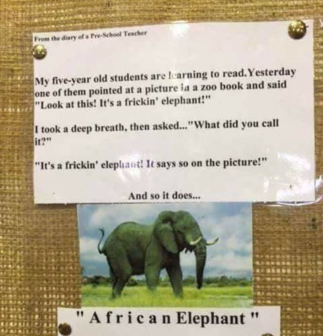 Poorly Designed Signs african elephant