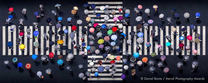 Aerial Photogprahy Award 2020: Stunning Winners,  First Place In Patterns Category: Umbrella Crossing by Daniel Bronte