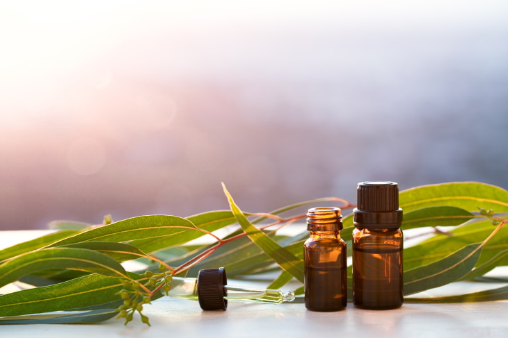 Essential Oils for Rheumatoid Arthritis Eucalyptus Oil