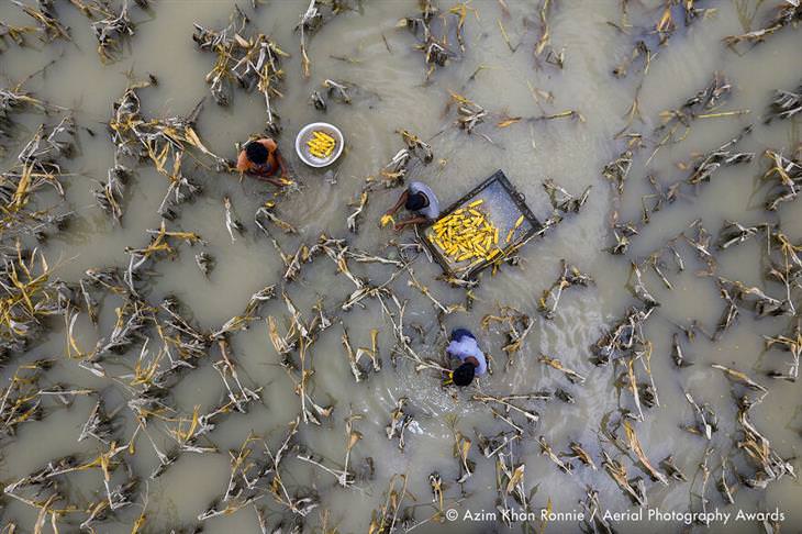 Aerial Photogprahy Award 2020: Stunning Winners, First Place In Environment Category: Flood Water Has Damaged Crops by Azim Khan Ronnie