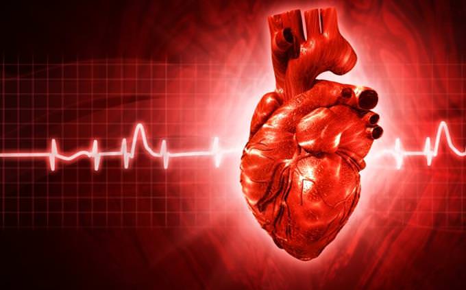 Quiz What Do You Know About The Heart Health Quizzes Quizzes