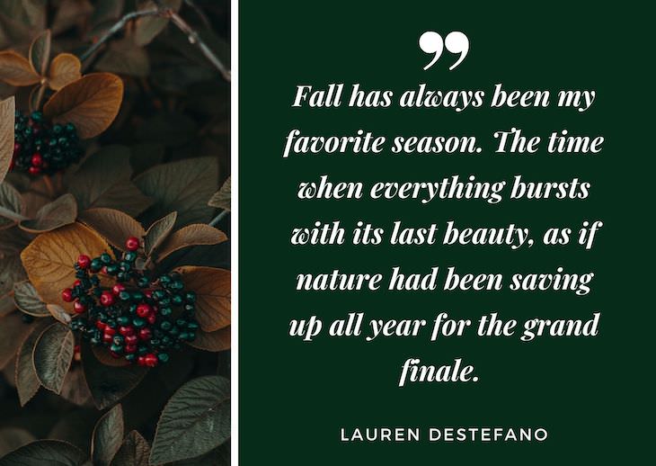 Quotes abour fall,  "Fall has always been my favorite season. The time when everything bursts with its last beauty, as if nature had been saving up all year for the grand finale.” - Lauren DeStrfano