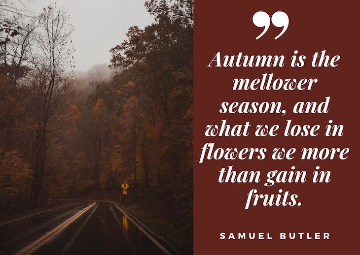 Quotes abour fall, “Autumn is the mellower season, and what we lose in flowers we more than gain in fruits.”― Samuel Butler