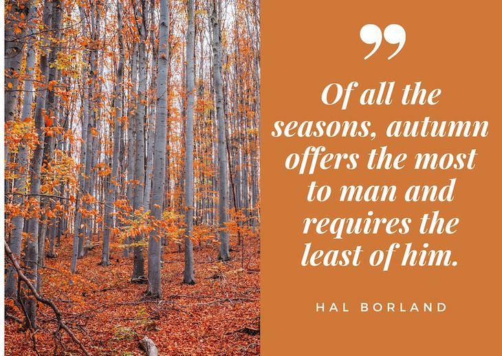 Quotes abour fall, "Of all the seasons, autumn offers the most to man and requires the least of him" - Hal Borland