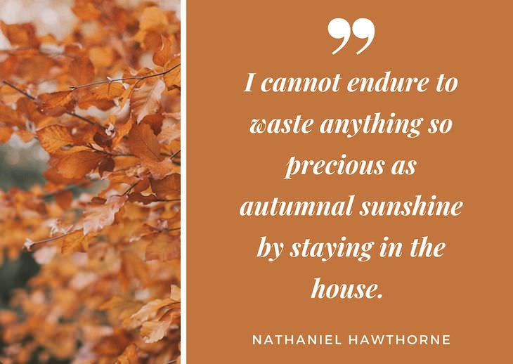 Quotes abour fall, “I cannot endure to waste anything so precious as autumnal sunshine by staying in the house." ― Nathaniel Hawthorne