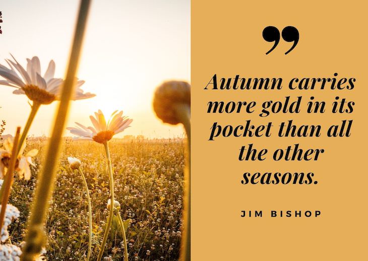 Quotes abour fall,  “Autumn carries more gold in its pocket than all the other seasons.”― Jim Bishop