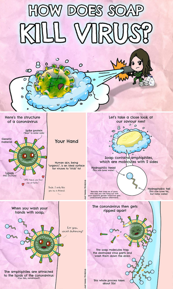 Illustrations of Fascinating Facts About the World, How does soap kill viruses?