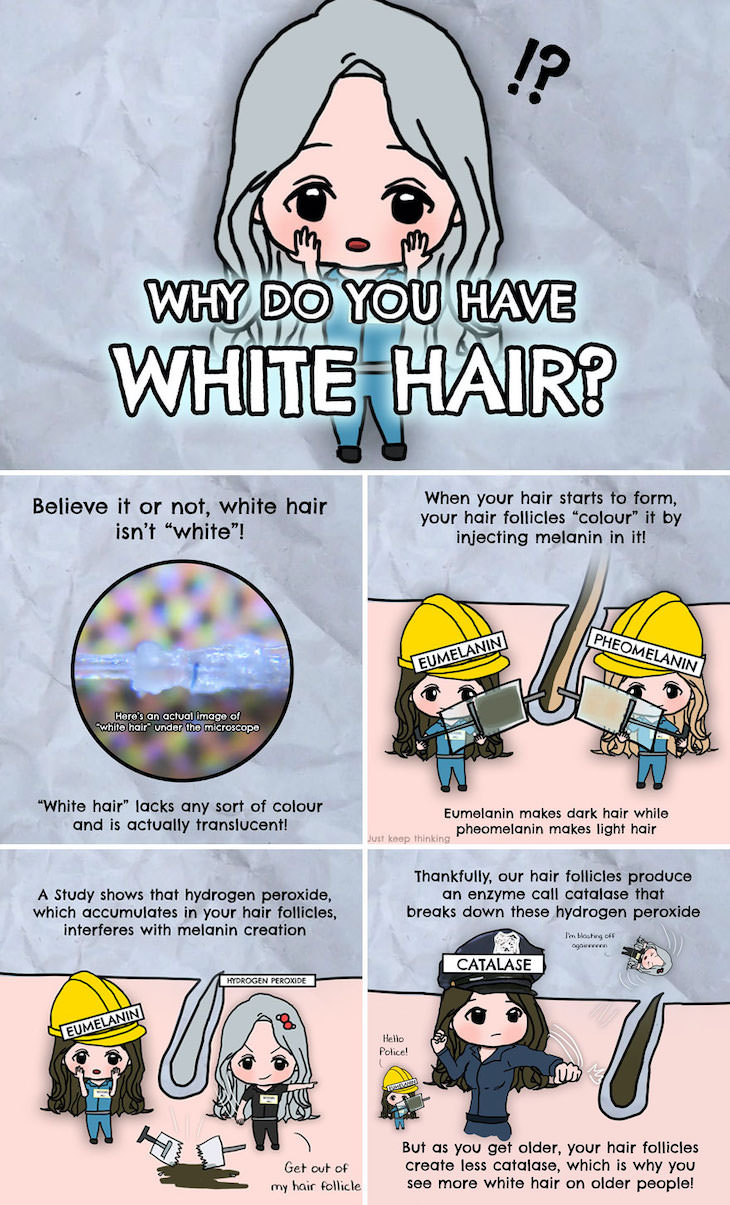 Illustrations of Fascinating Facts About the World, Why does your hair turn white as you age