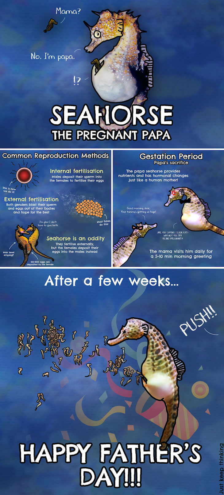 Illustrations of Fascinating Facts About the World, The only species where the male is the one to give birth