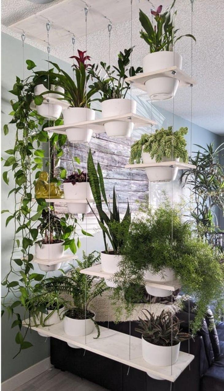 DIY Decoration, hanging plant 