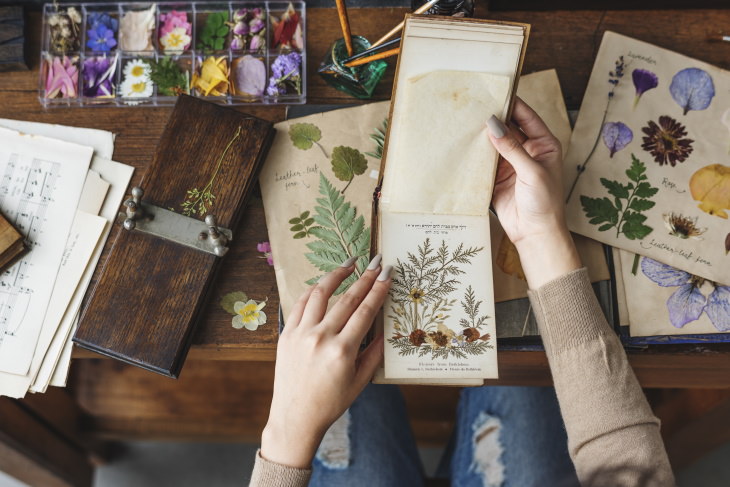 5 Ways to Preserve Flowers Pressed Flowers