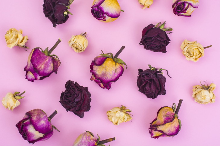 5 Ways to Preserve Flowers dried roses