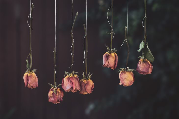 5 Ways to Preserve Flowers Hanging roses