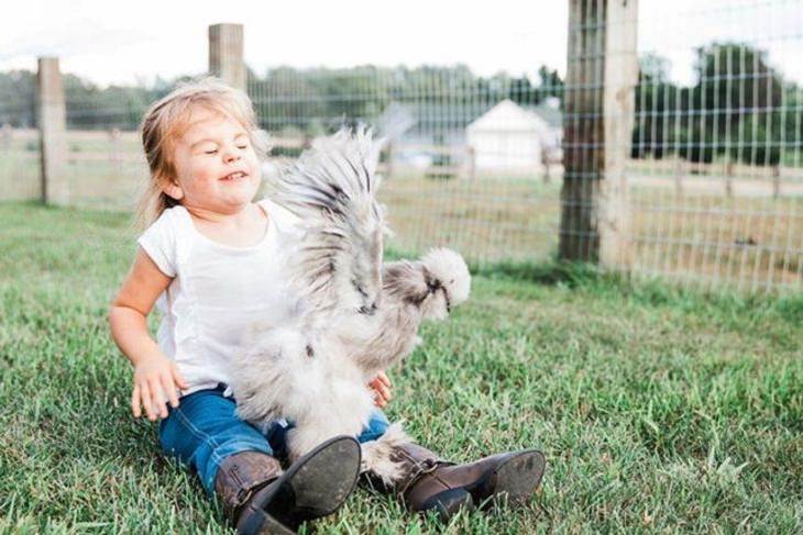  Perfectly-Timed Photos, chicken