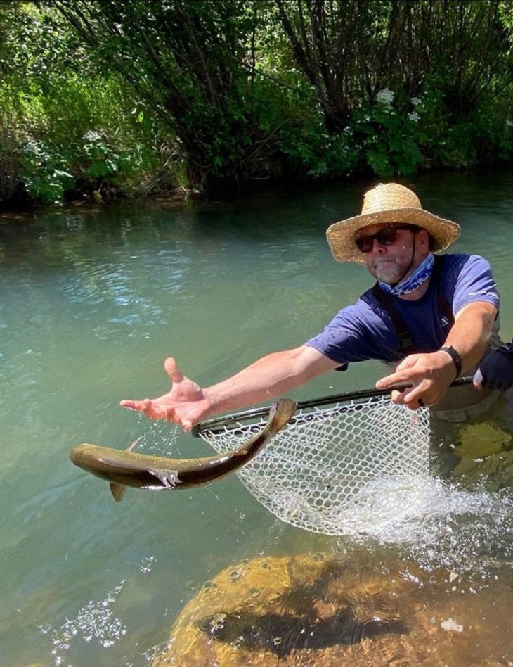  Perfectly-Timed Photos, fish