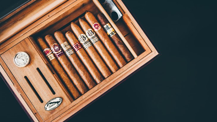 English Borrowings from Native American Languages Cigars