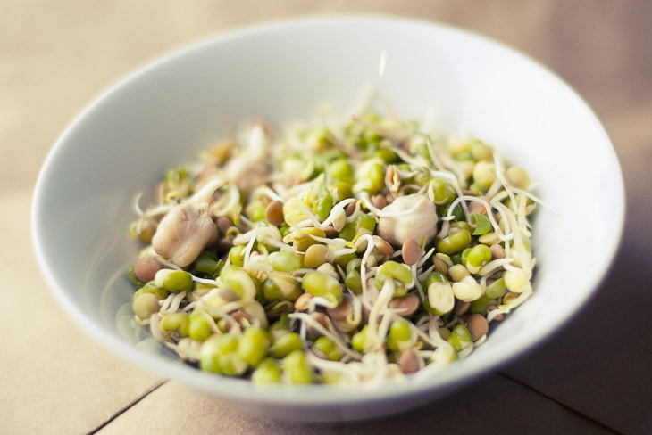 Foods You Should Never Eat Raw Sprouts