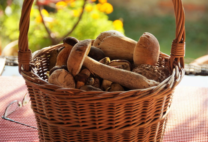 Alimentos que você nunca deve comer crus