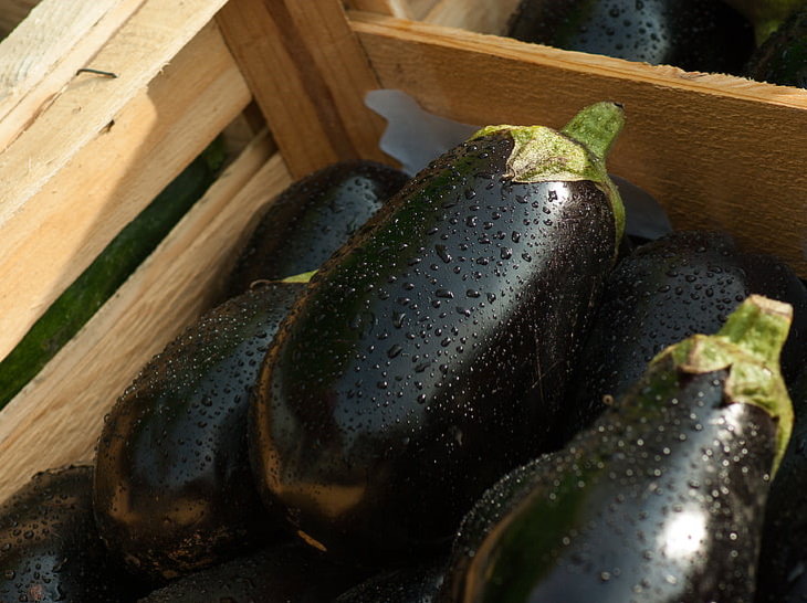 Foods You Should Never Eat Raw Eggplant