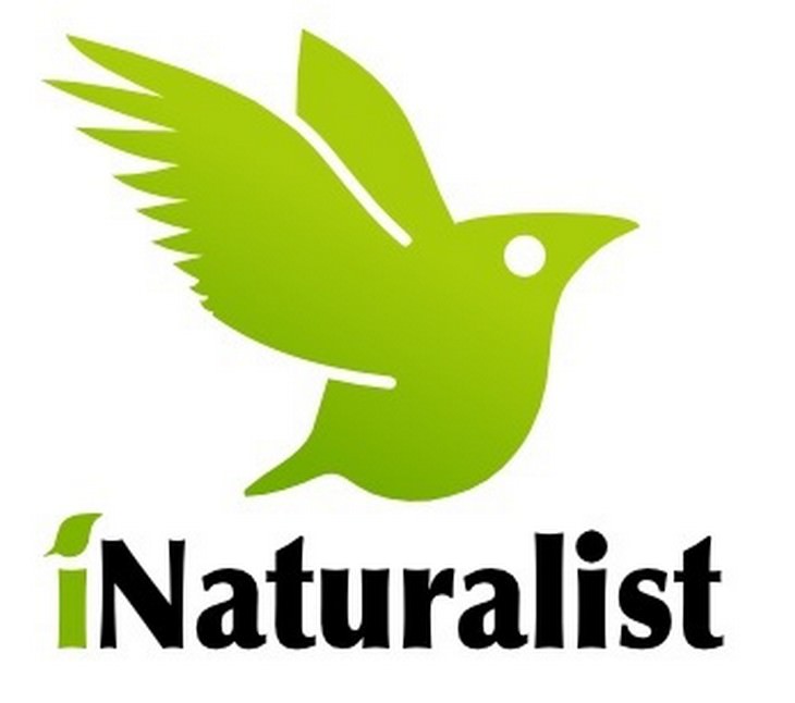 Fun educational apps iNaturalist