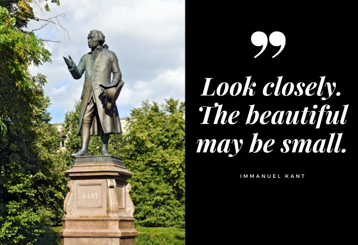  Immanuel Kant Quotes Look closely. The beautiful may be small.