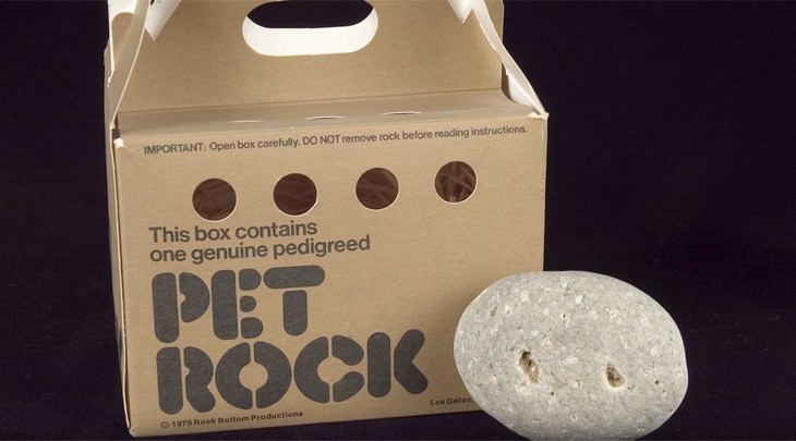 Unforgettable fads from the 20th century pet rock