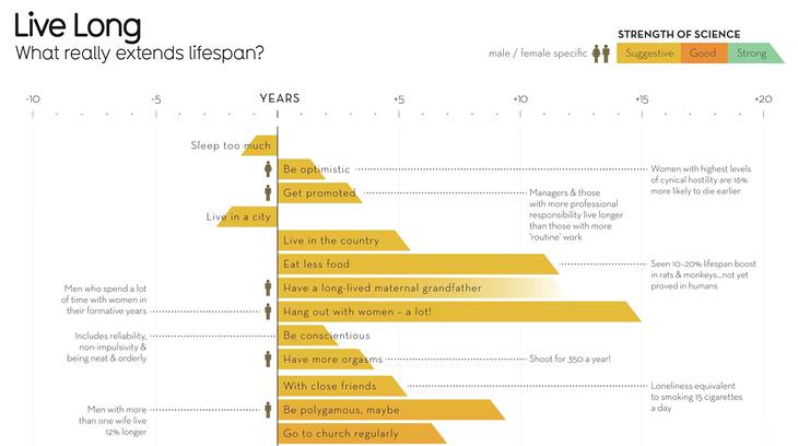 Infographic: What Increases Life Expectancy?