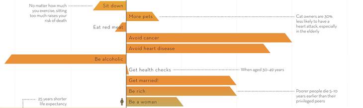 Infographic: What Increases Life Expectancy?